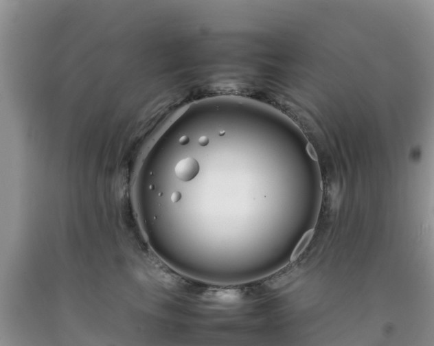 X0000092060665200709191143