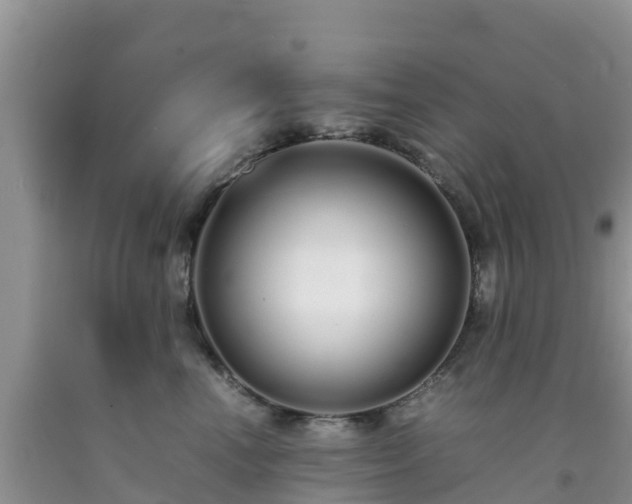 X0000092060666200709191143