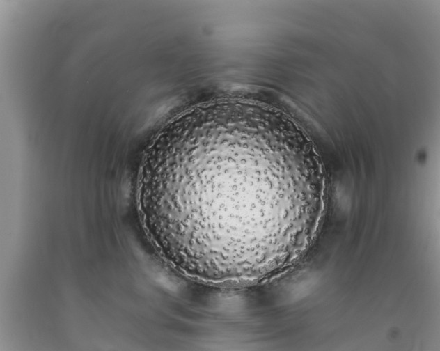 X0000092060668200709191143