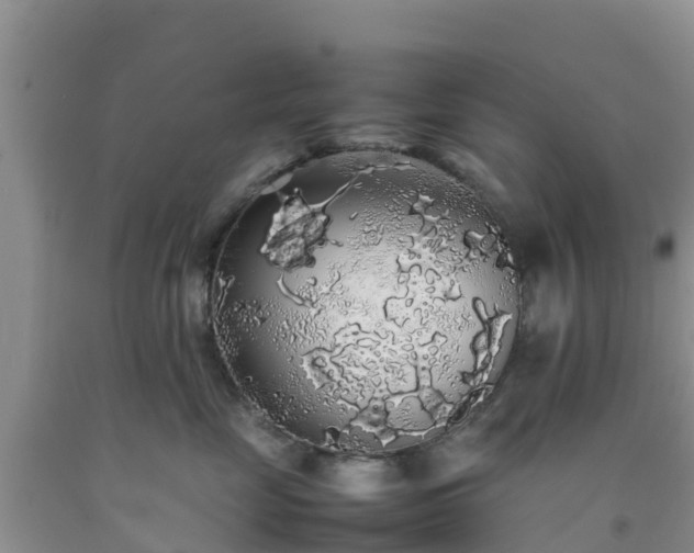 X0000092060669200709191143