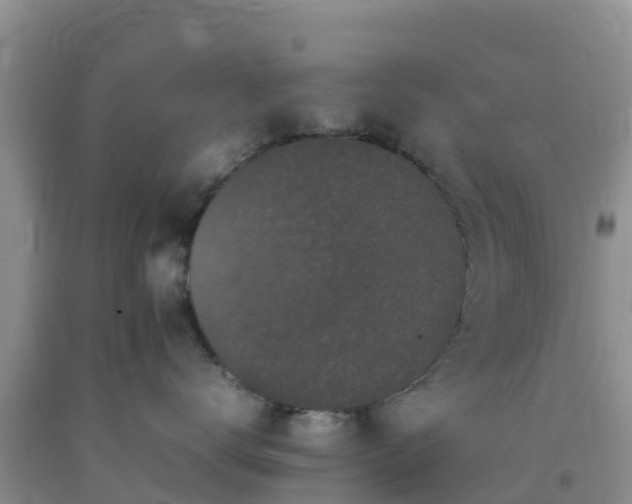 X0000092060672200709191143