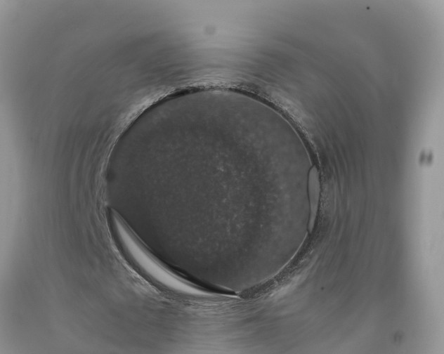 X0000092060673200709191142