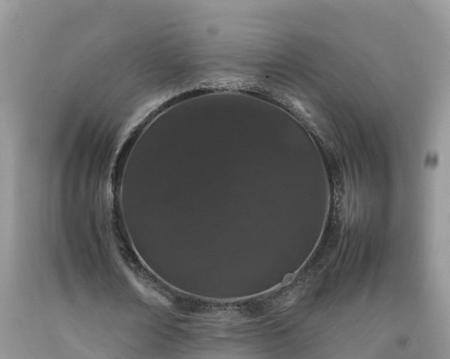 X0000092060674200709191142