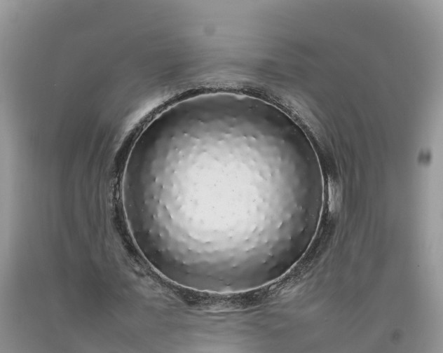 X0000092060675200709191142