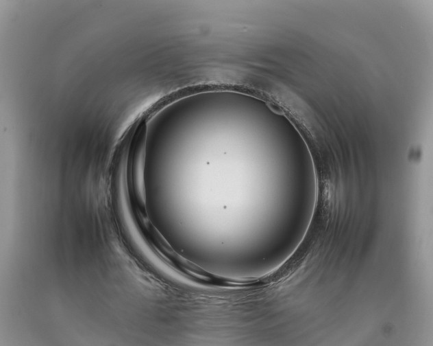 X0000092060676200709191142