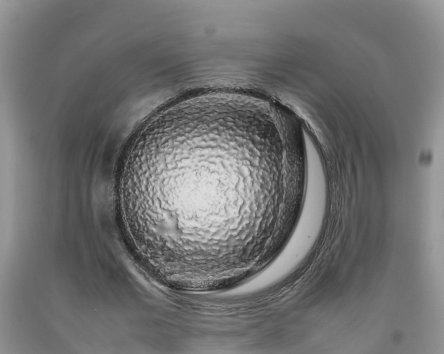 X0000092060677200709191142