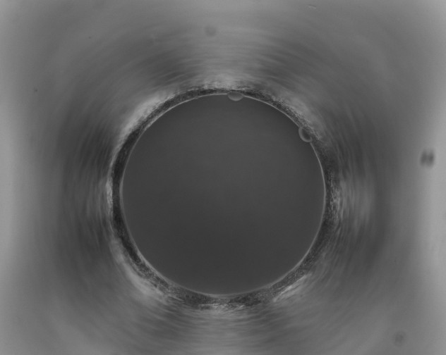 X0000092060678200709191142