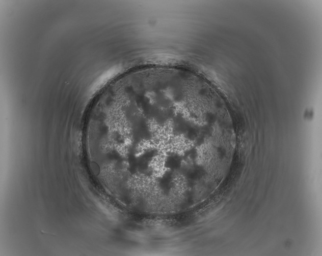 X0000092060679200709191142