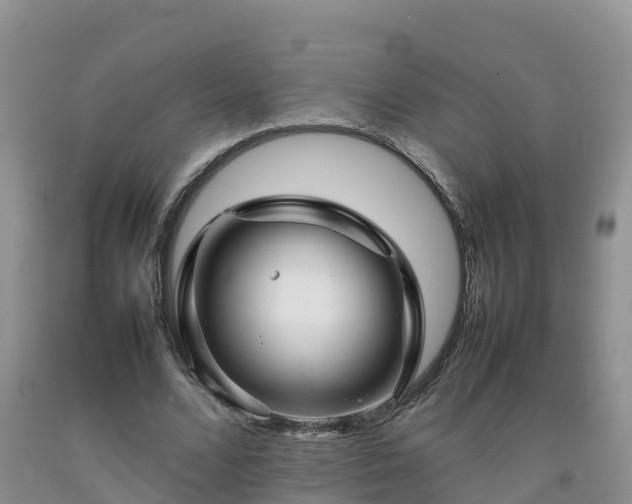 X0000092060680200709191142