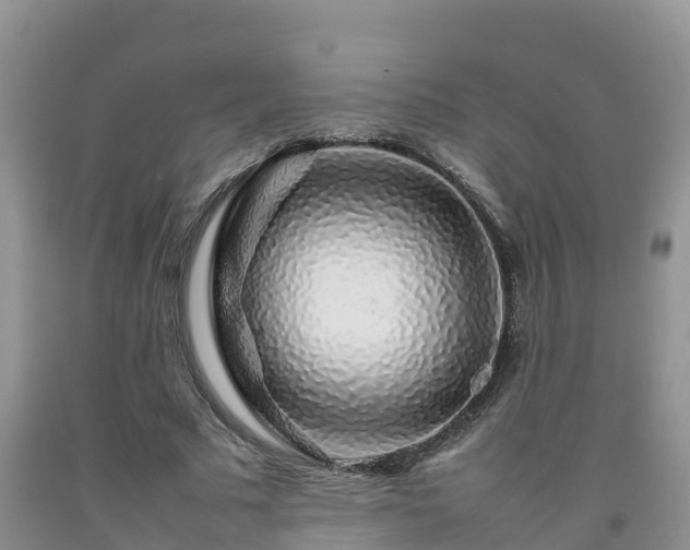 X0000092060681200709191142