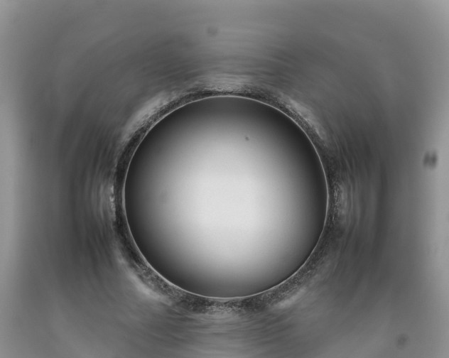 X0000092060682200709191142