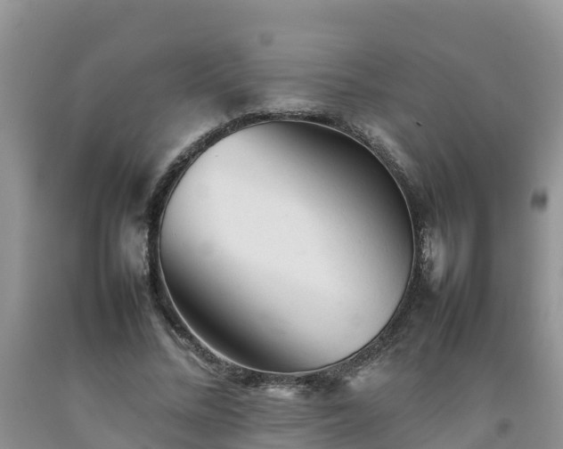 X0000092060684200709191142