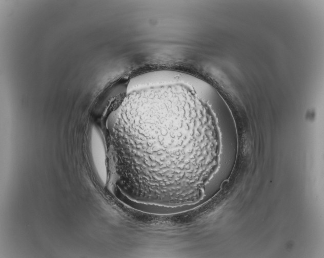 X0000092060685200709191142