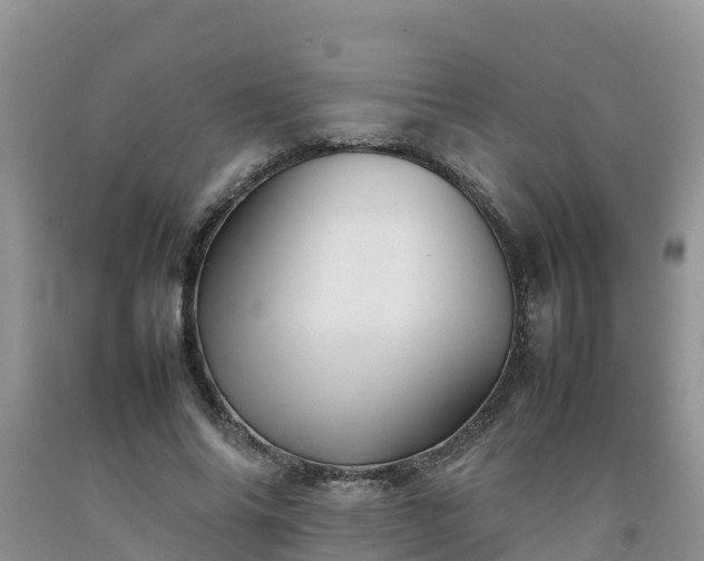 X0000092060686200709191142