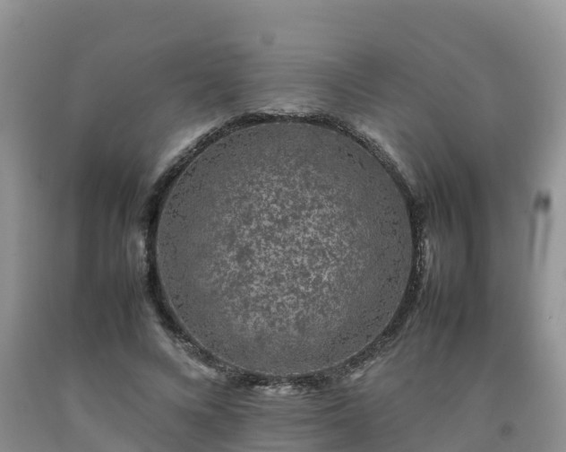 X0000092060688200709191142