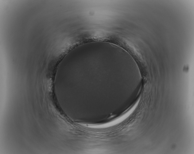 X0000092060689200709191142