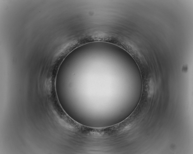 X0000092060690200709191142