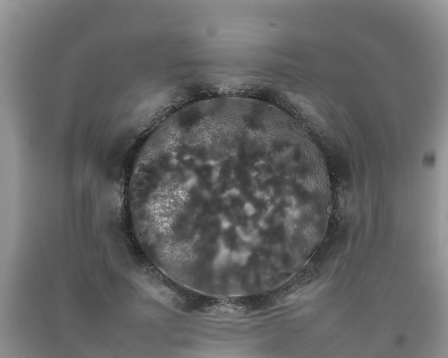 X0000092060691200709191142