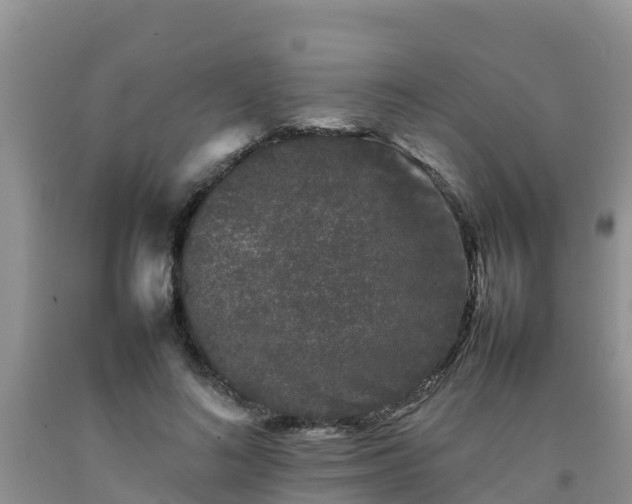 X0000092060692200709191142