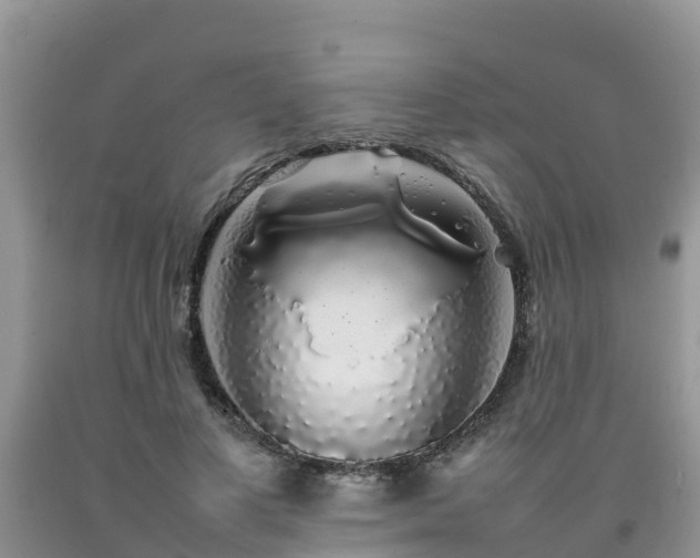 X0000092060693200709191142