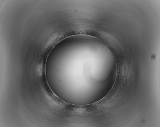 X0000092060694200709191142