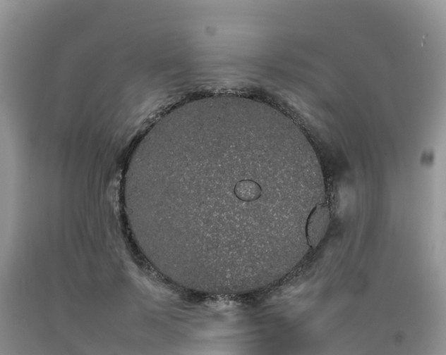 X0000092060695200709191142