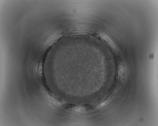 X0000092060696200709191142