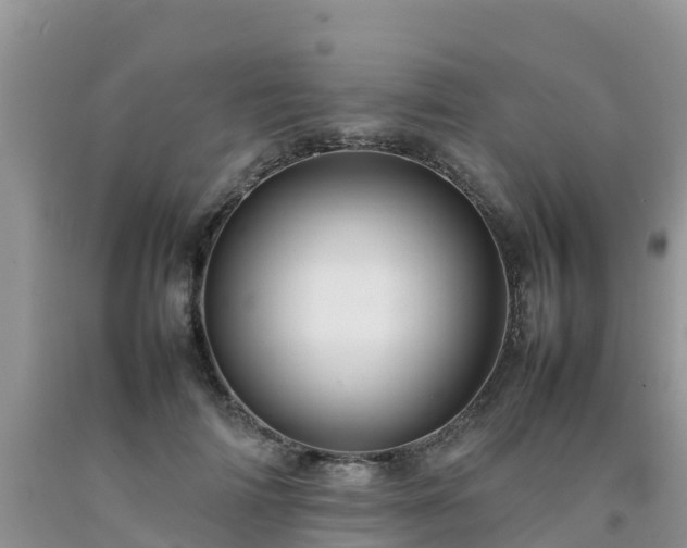 X0000092060698200709191142