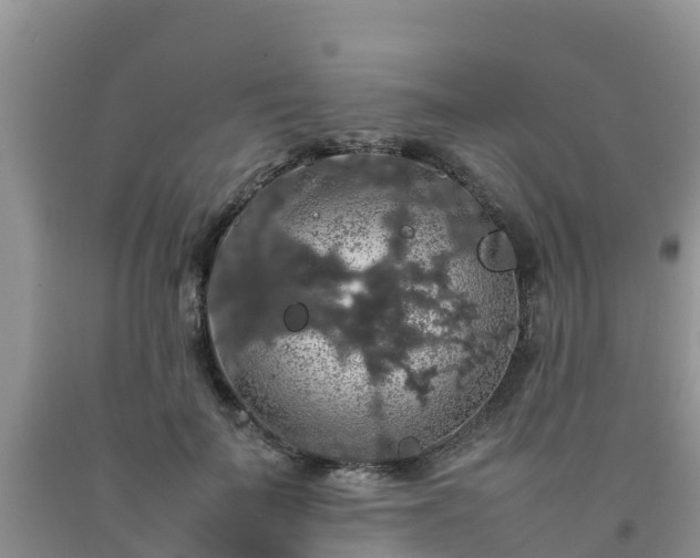 X0000092060699200709191142