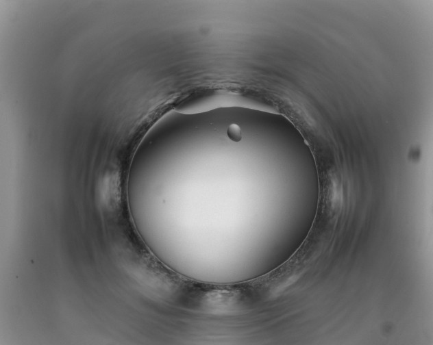 X0000092060700200709191142