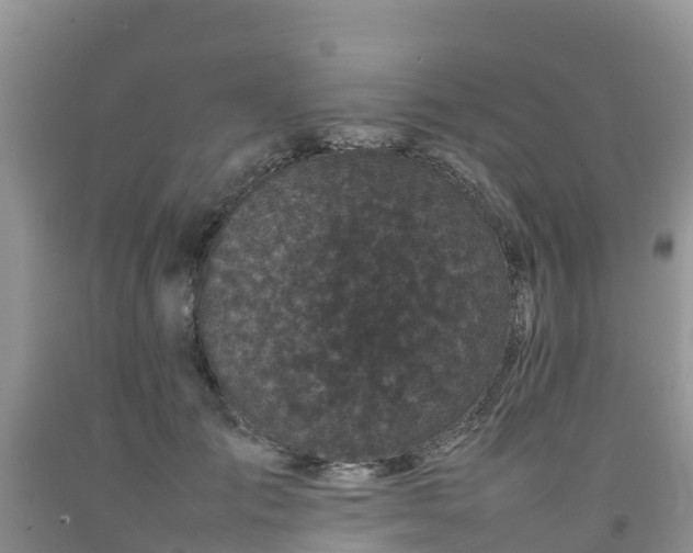 X0000092060701200709191142