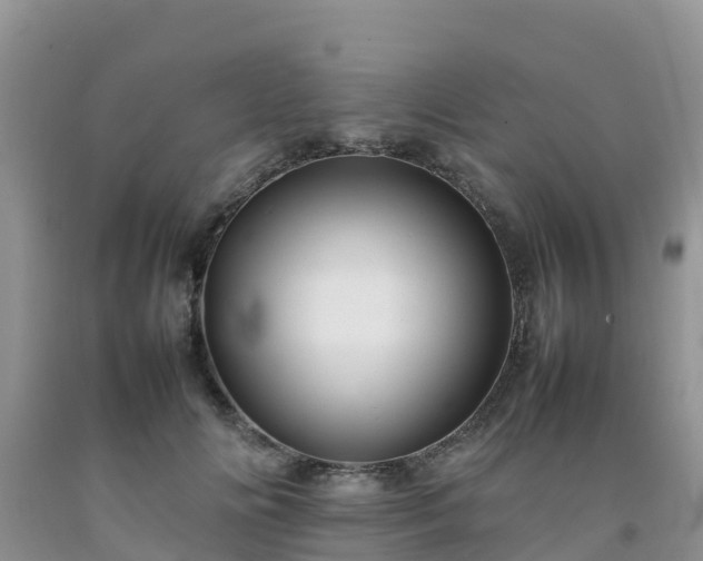 X0000092060702200709191142