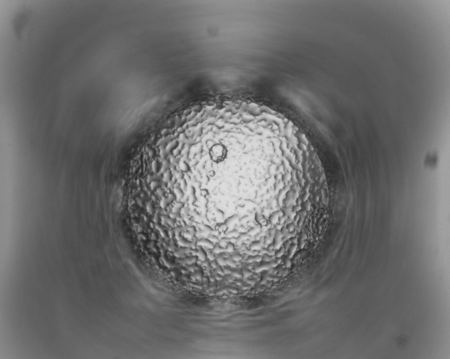 X0000092060703200709191142