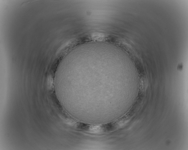 X0000092060705200709191142