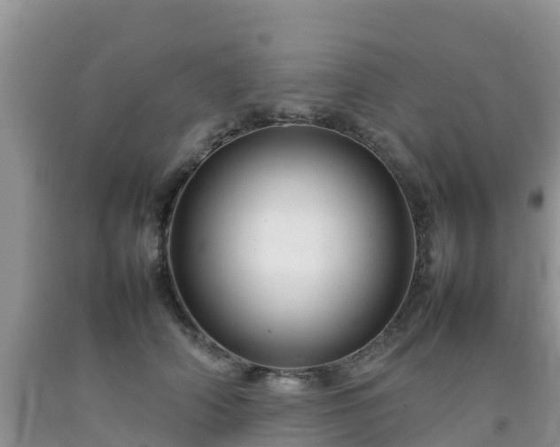 X0000092060706200709191142