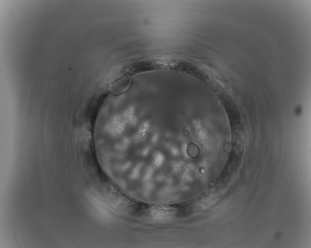 X0000092060707200709191142