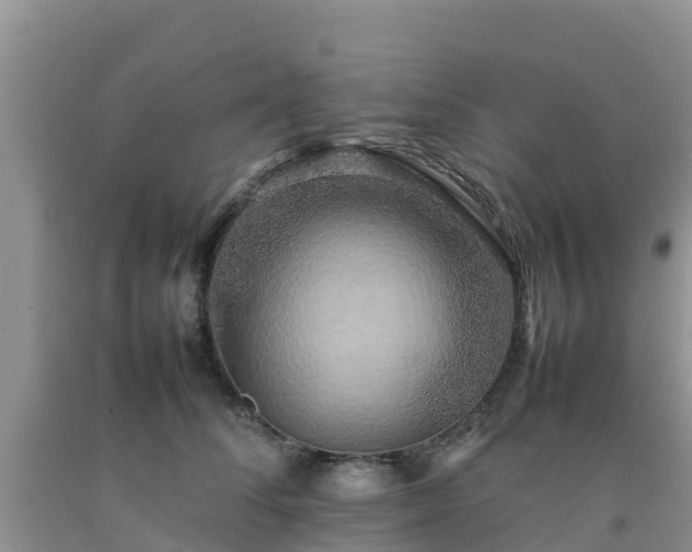 X0000092060708200709191142