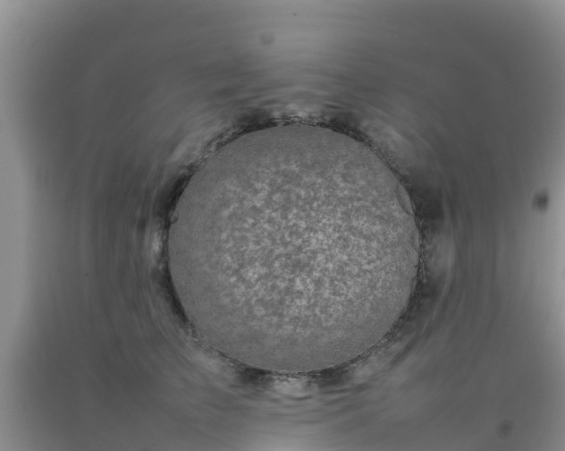 X0000092060709200709191142