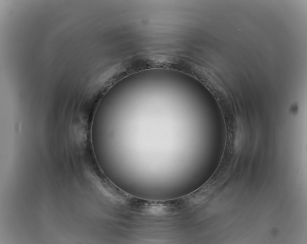 X0000092060710200709191142