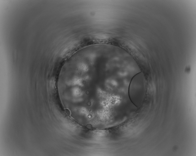 X0000092060711200709191142