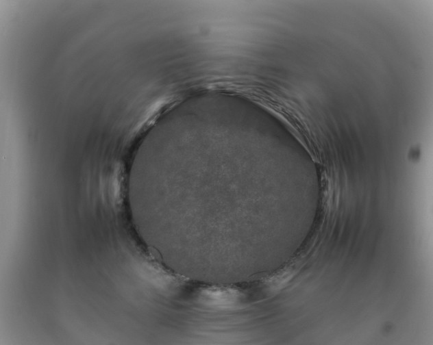 X0000092060712200709191142