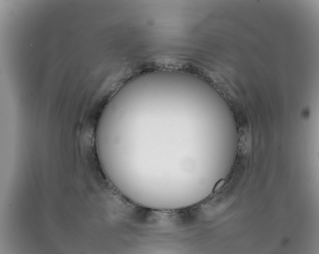 X0000092060713200709191142