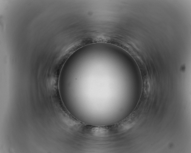 X0000092060714200709191142