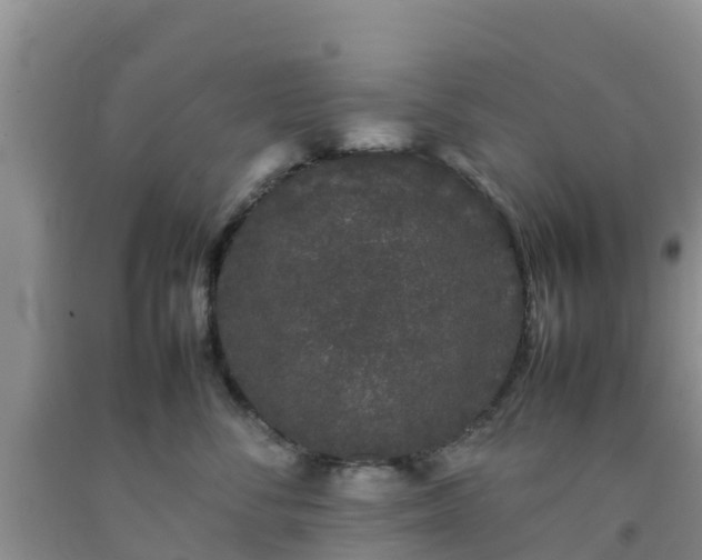 X0000092060716200709191141