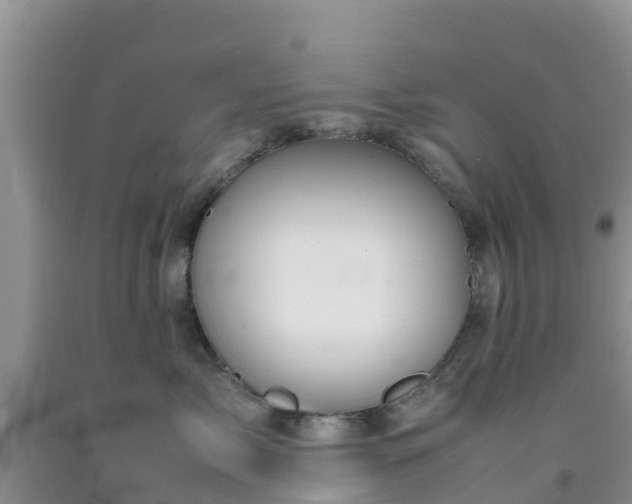 X0000092060717200709191141