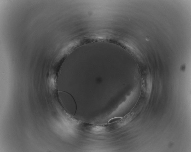 X0000092060718200709191141