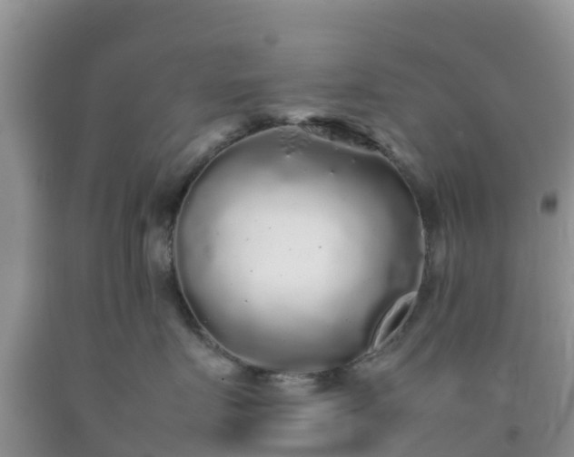 X0000092060719200709191141