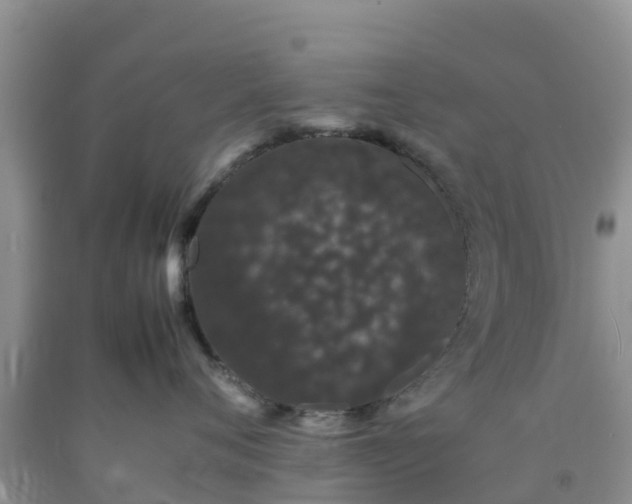 X0000092060720200709191141