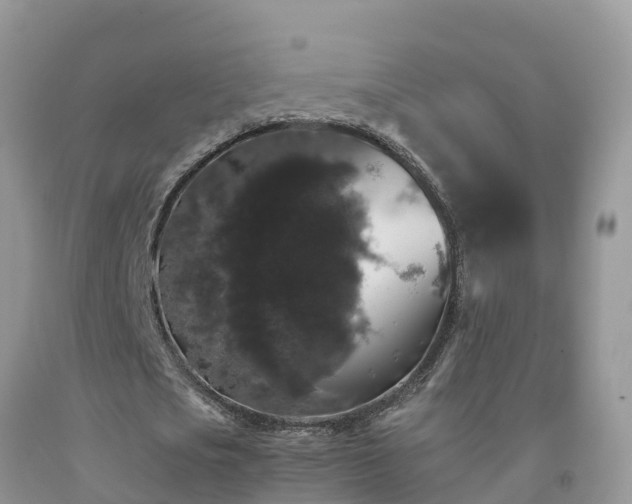 X0000092060721200709191141