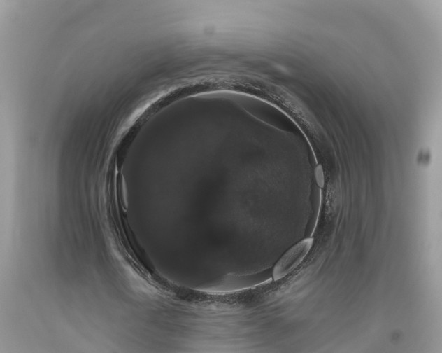 X0000092060722200709191141